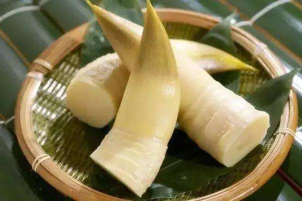 這么多優(yōu)點的竹筍烘干機多少錢一臺？
